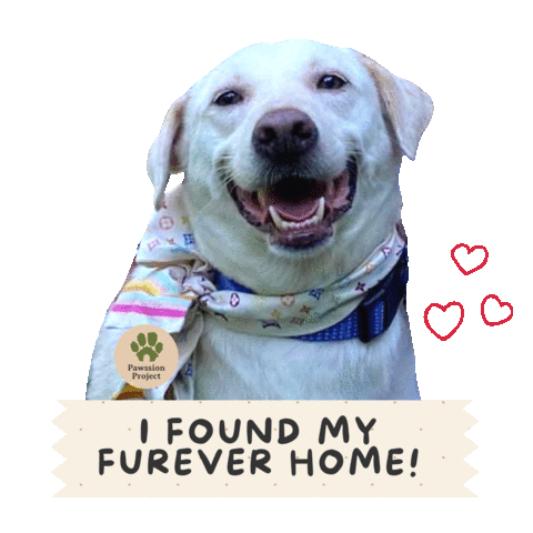 Happy Dog Sticker by Pawssion Project Foundation Inc.