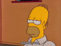 Season 2 GIF by The Simpsons