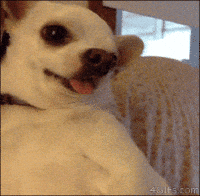pissed off GIF
