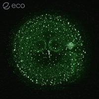 To The Moon Crypto GIF by Eco