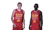 Liga Endesa Basketball Sticker by ACB