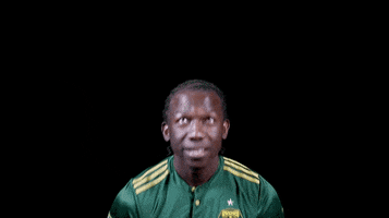 portland timbers celebration GIF by Timbers