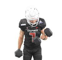 Football Nfl Sticker by Les Dauphins de Nice