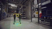 Robot Spot GIF by BostonDynamics