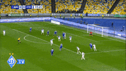 dynamo kyiv stal  2:1 hacheridi GIF by #FCDK