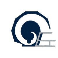 Los Angeles Football Sticker by NFL