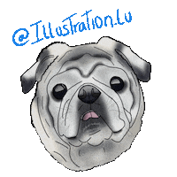 Dogs Pug Sticker