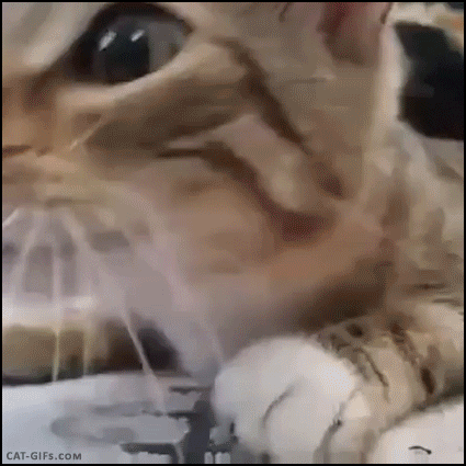 shocked GIF