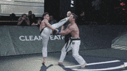 karatecombat sports sport mma fighter GIF