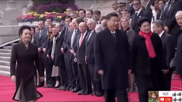 zheng zhi GIF
