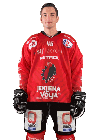 Hockey Steelers Sticker by HDD SIJ Acroni Jesenice