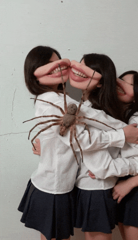 Bg Veo GIF by Aleksey Efremov