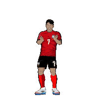 World Cup Football Sticker by SportsManias