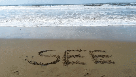 Simongip giphygifmaker GIF