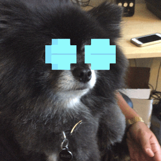 GIF by GIPHY CAM