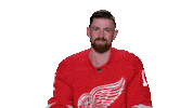 Red Wings Sport Sticker by Detroit Red Wings