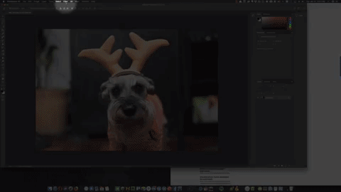 photoshop ai GIF