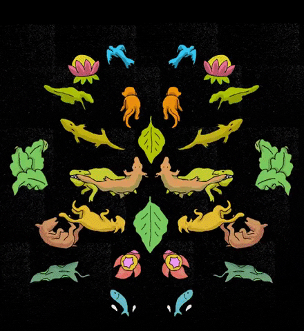 harisabadi giphyupload GIF