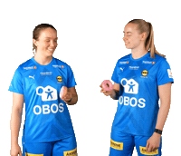 Toppserien Forza Birdsa Sticker by LSK Kvinner FK