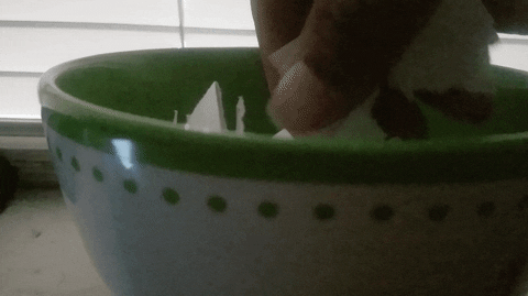 TheApocalypse giphyupload GIF