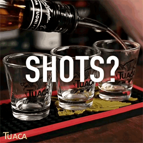 Tuaca party cheers drinking drinks GIF