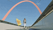 GIF by Carola Insolera