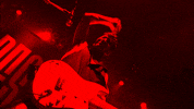 New York City Rock GIF by Des Rocs