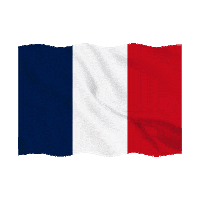 France Sticker Sticker