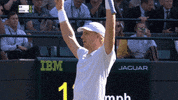 celebrate kevin anderson GIF by Wimbledon