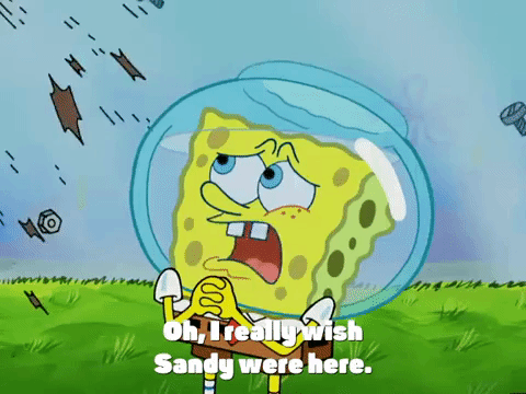 season 4 episode 10 GIF by SpongeBob SquarePants
