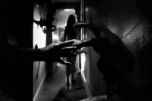 catherine deneuve repulsion GIF by Maudit