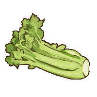 Veggie Vegetable Sticker