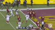 New York Giants Football GIF by NFL