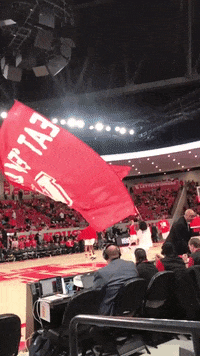 coogfans flag university of houston go coogs houston cougars GIF