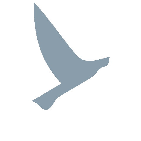 embarkbeyond giphygifmaker embarkbeyond embarkimmersion embarkbeyondbrasil Sticker