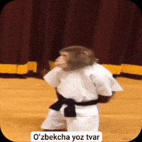 Karate GIF
