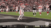 Kansas City Chiefs Football GIF by NFL