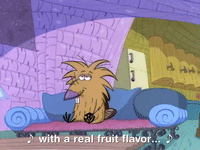 nickrewind nicksplat angry beavers GIF