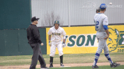 north dakota state baseball GIF by NDSU Athletics