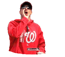 Baseball Booing Sticker by MLB