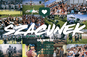 TytaniLublin white green team go green GIF