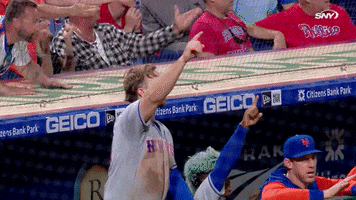New York Mets Yes GIF by SNY