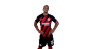 Happy Dance Sticker by Eintracht Frankfurt