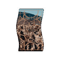 Joshua Tree Desert Sticker by The Arcoíris Design Co