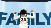 Uva Virginiacavaliers GIF by Virginia Athletics