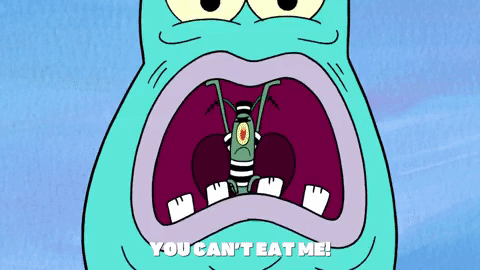 season 9 episode 6 GIF by SpongeBob SquarePants