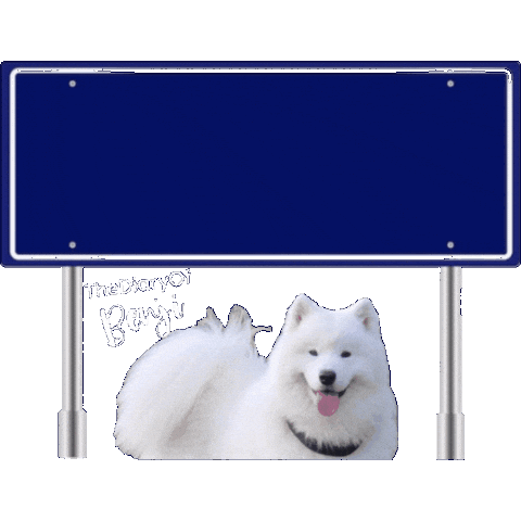 Amsterdam Adam Sticker