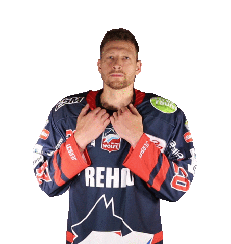 Ice Hockey Waiting Sticker by Selber Wölfe