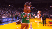 game entertainment GIF by NBA