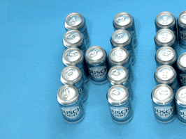 Happy Birthday GIF by Busch Beer